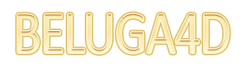 Logo BELUGA4D
